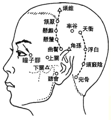 楊白穴|醫砭 » 經穴庫 » 陽白